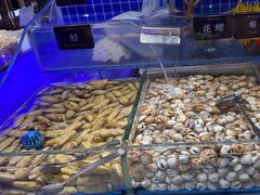 -加餐海鲜自助餐厅(福清万达店)