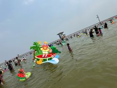 -碧海金沙