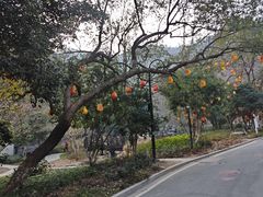 -灵顺寺