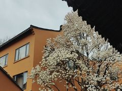 -龙华寺