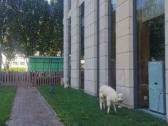 -廊坊固安福朋喜来登酒店