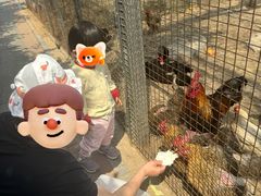-河北村民俗体验园