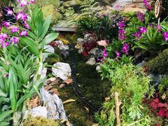 -北京植物园-展览温室