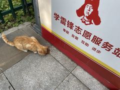 -莲湖公园