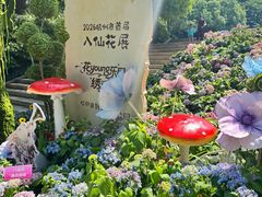 -杭州少年儿童公园