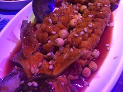 -蝴蝶汇音乐酒馆(罗湖店)