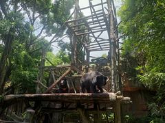 -长鹿旅游休博园