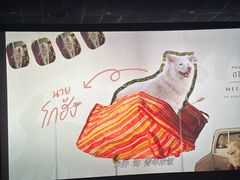 -飞扬影城(正佳IMAX店)