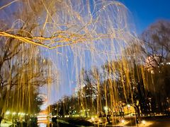 -元大都城垣遗址公园