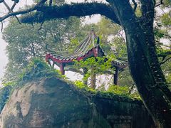 -青芝山风景名胜区