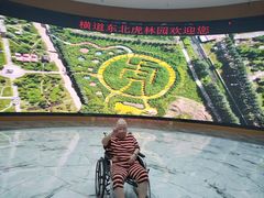-横道河子东北虎林园