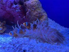 -上海海洋水族馆