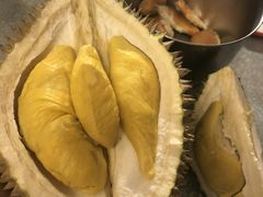 -都念榴莲·城市榴莲