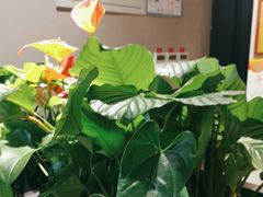 -管氏翅吧(地安门创始店)