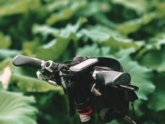 -四川大学(华西校区)