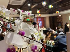 -翡翠鸟精品泰国菜(北辰财富中心店)