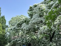 -国家植物园南园