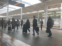 -深圳坪山站