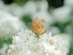 -上海滨江森林公园