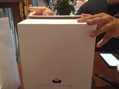 -BLACKSWAN黑天鹅(环球店)