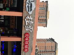 -挂雪铁锅炖大鹅
