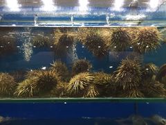 -海岛渔村大酒店(云霄路店)