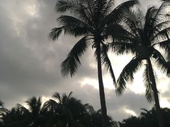 -岘港皇冠假日酒店