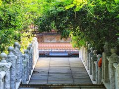 -雁南飞茶田景区