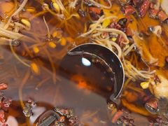 -民族饭荘(新华大街店)