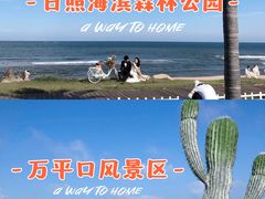 -日照海滨国家森林公园