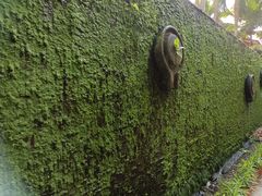 -呀诺达热带雨林