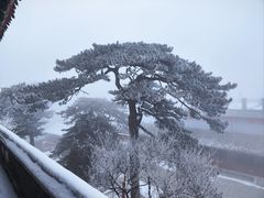 -妙峰山风景名胜区
