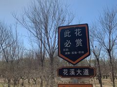 -老君堂公园