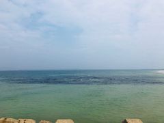 -北海金海湾红树林生态旅游区