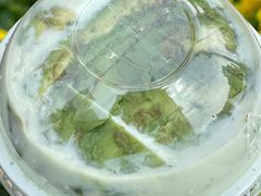 -茉酸奶(春熙路店)