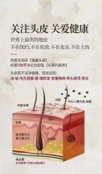-诗碧曼·头疗养发馆