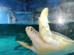 -常州海昌海洋探索馆