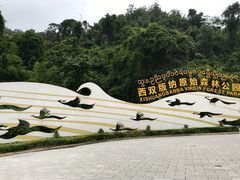 -西双版纳原始森林公园