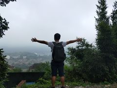 -南山植物园