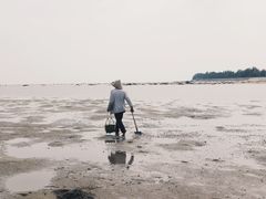 -北海金海湾红树林生态旅游区