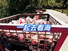 -唐岛湾公园