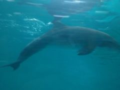 景点-波塞冬旅游度假区