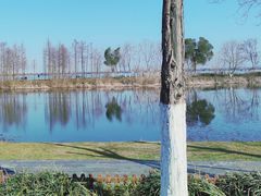 -东湖生态旅游风景区