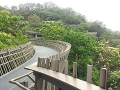 -梅峰山地公园