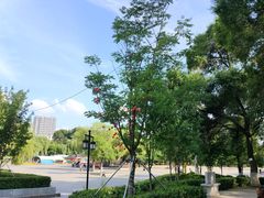 -北山公园