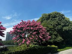 -杭州城北体育公园