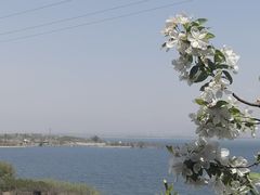 -小赖鱼馆