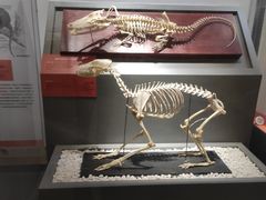 -国家自然博物馆