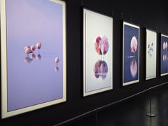 -罗红摄影艺术馆