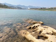 -金海湾滨江公园
